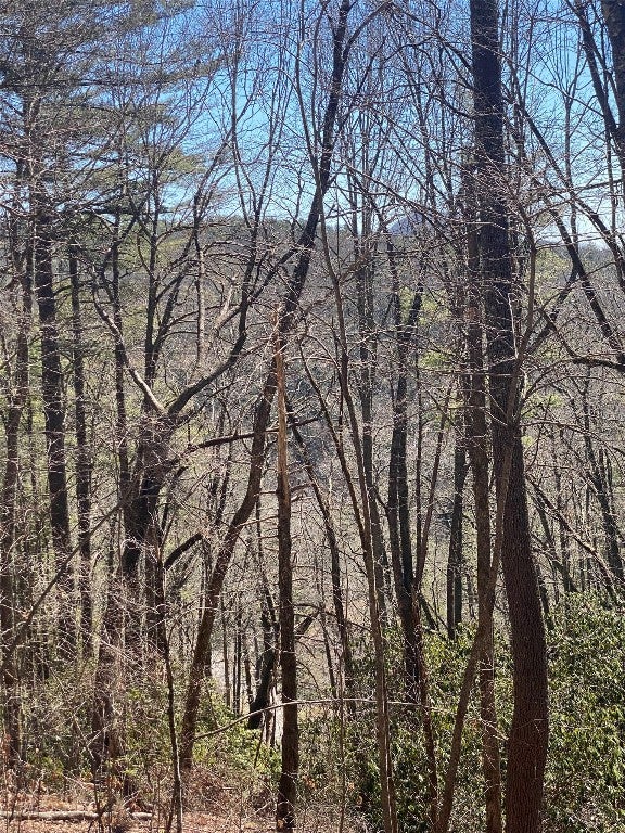 Tba View Point Road Highlands, NC 28741 - Photo 5 of 7 Gallery Image 5