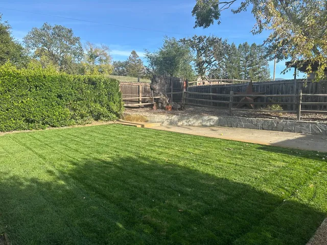 a view of a garden with a slide