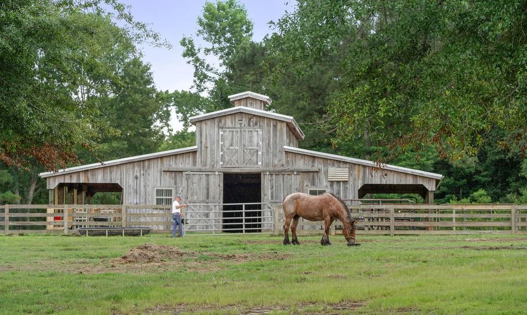 83268 Beason Road Folsom, LA 70437 - Photo 2 of 36 Gallery Image 2