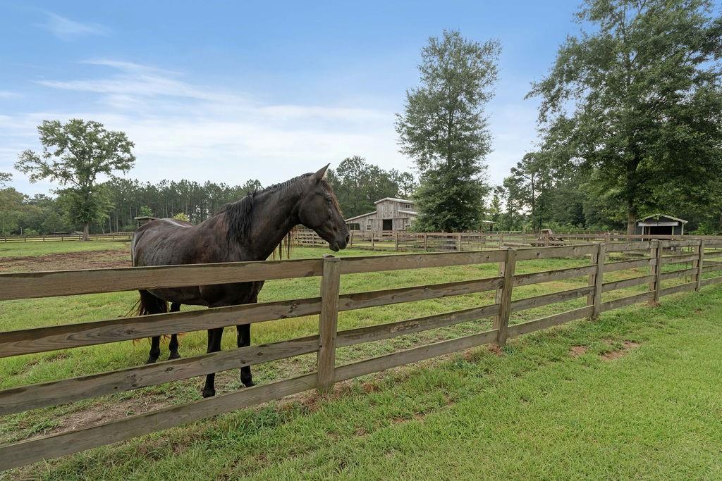 83268 Beason Road Folsom, LA 70437 - Photo 31 of 36 Gallery Image 31