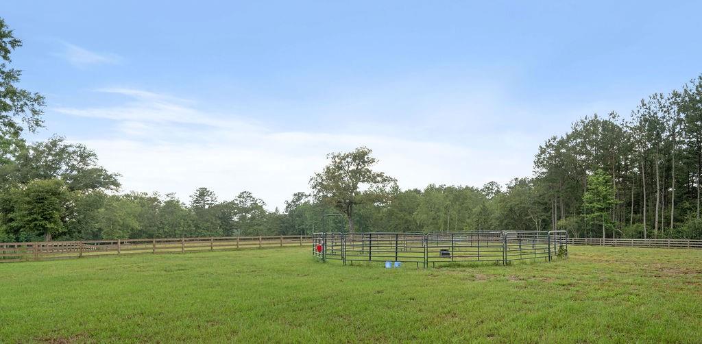 83268 Beason Road Folsom, LA 70437 - Photo 33 of 36 Gallery Image 33