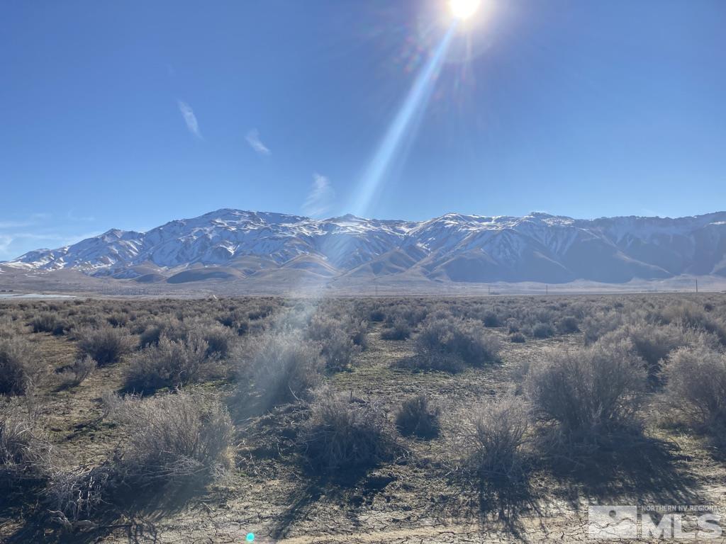 0 Bonanza Lane Reno, NV 89510 - Photo 5 of 7 a view of a forest with mountains in the background