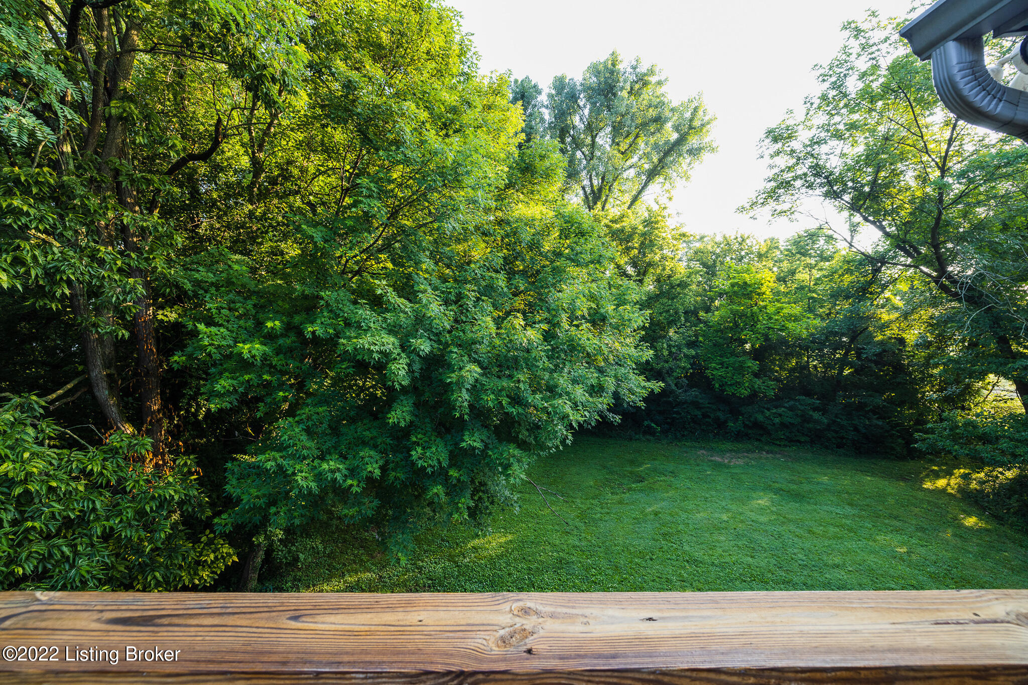 5505 River Road Prospect, KY 40059 - Photo 15 of 73 AY9A6898
