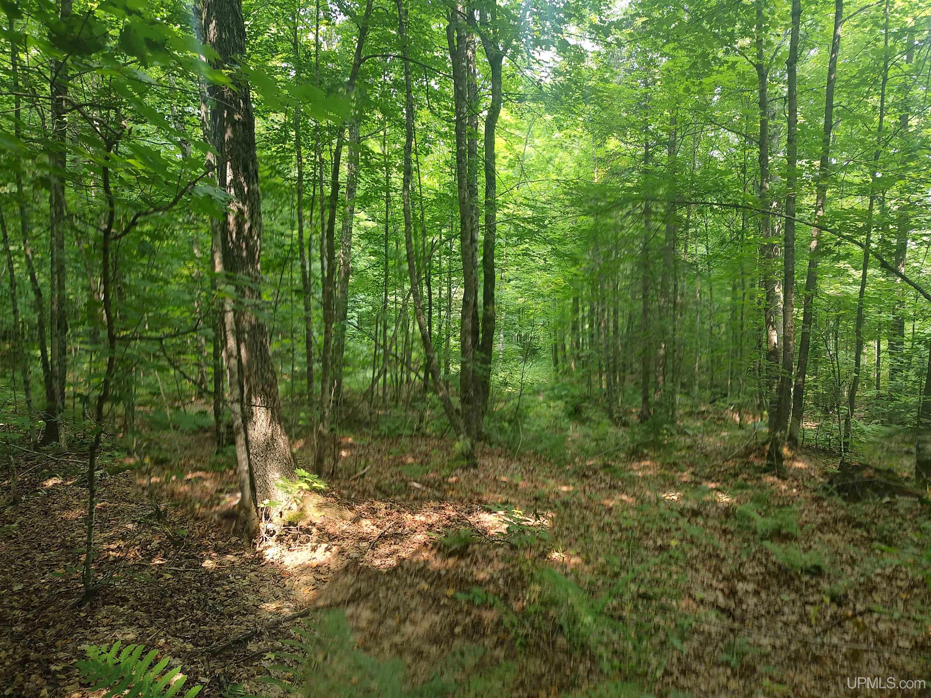 60-acres Sleepy Hollow Road Ishpeming, MI 49849 - Photo 25 of 29