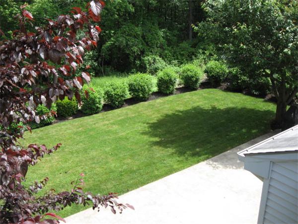 159 Sheffield Road Waltham, MA 02451 - Photo 18 of 22
