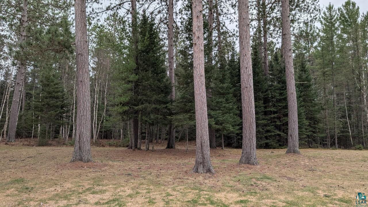 8854 River Road Angora, MN 55703 - Photo 39 of 43