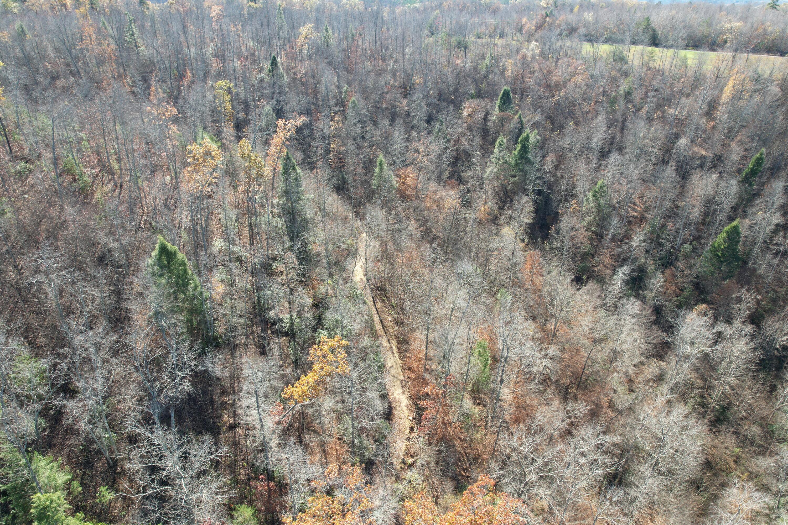 1500 Snake Pond Rdg Road Somerset, KY 42501 - Photo 18 of 56 DJI_0565