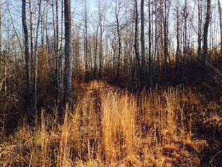 1234 Snake Pond Rdg Road Somerset, KY 42501 - Photo 7 of 7 Additional Photo