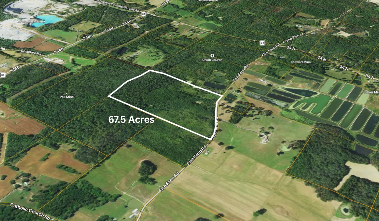 70 Fish Farm Road Golconda, IL 62938 - Photo 6 of 19