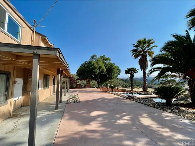 a view of a palm tree next to a yard