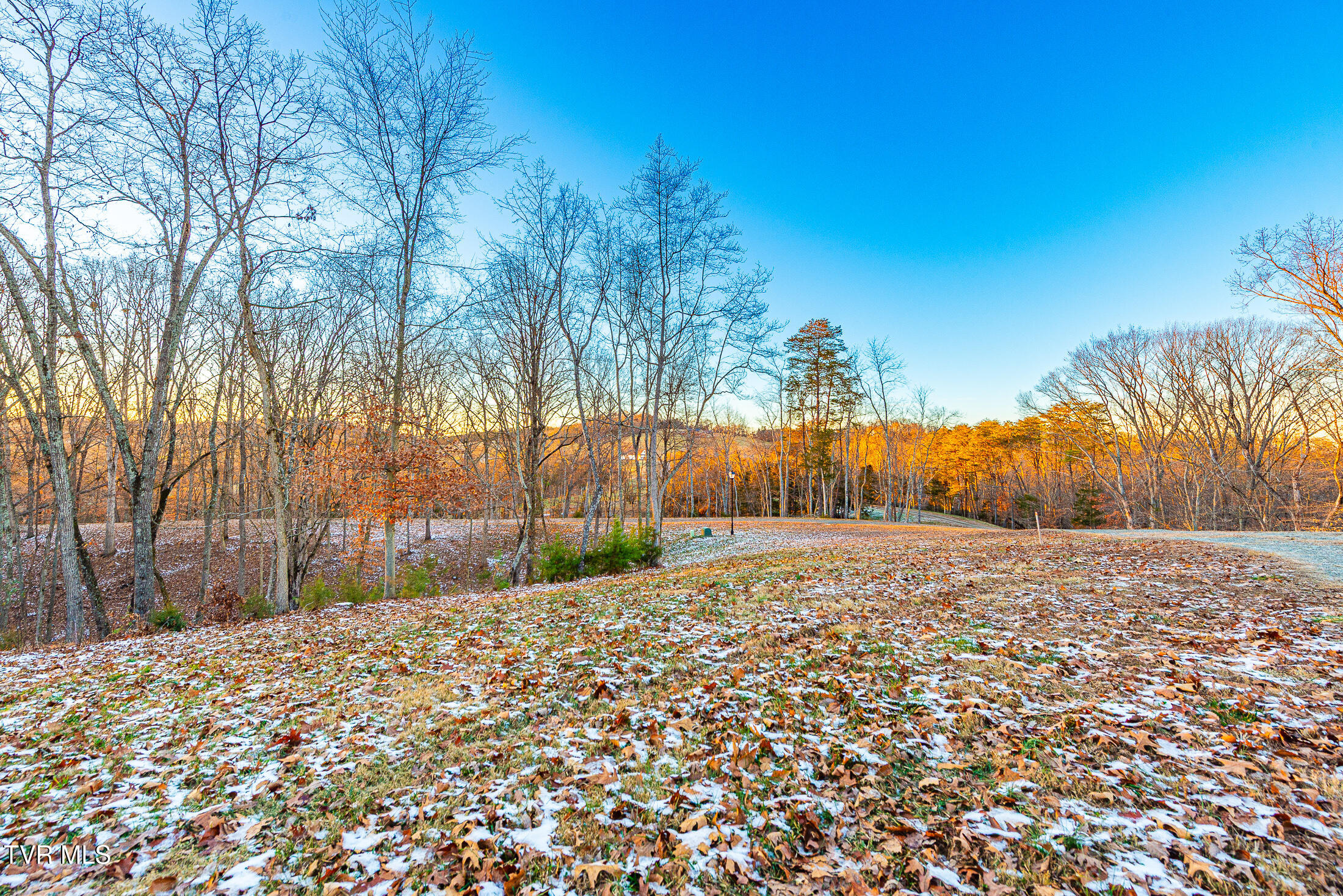 2318 Turkey Ridge Lane, Unit 13 Piney Flats, TN 37686 - Photo 11 of 15 Turkey RIdge