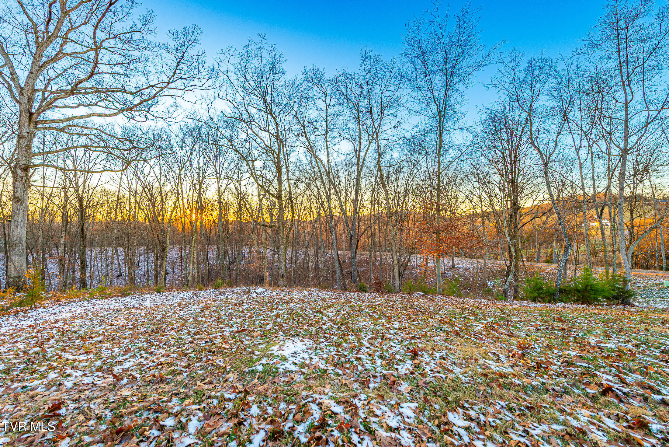 2318 Turkey Ridge Lane, Unit 13 Piney Flats, TN 37686 - Photo 12 of 15 Turkey Ridge