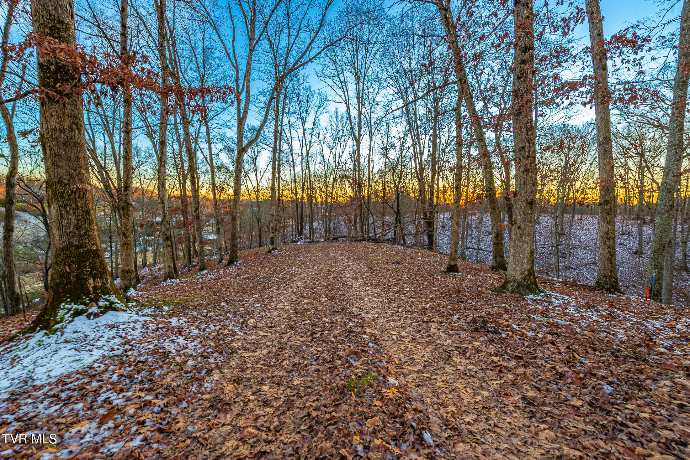 2318 Turkey Ridge Lane, Unit 13 Piney Flats, TN 37686 - Photo 5 of 15 Turkey Ridge