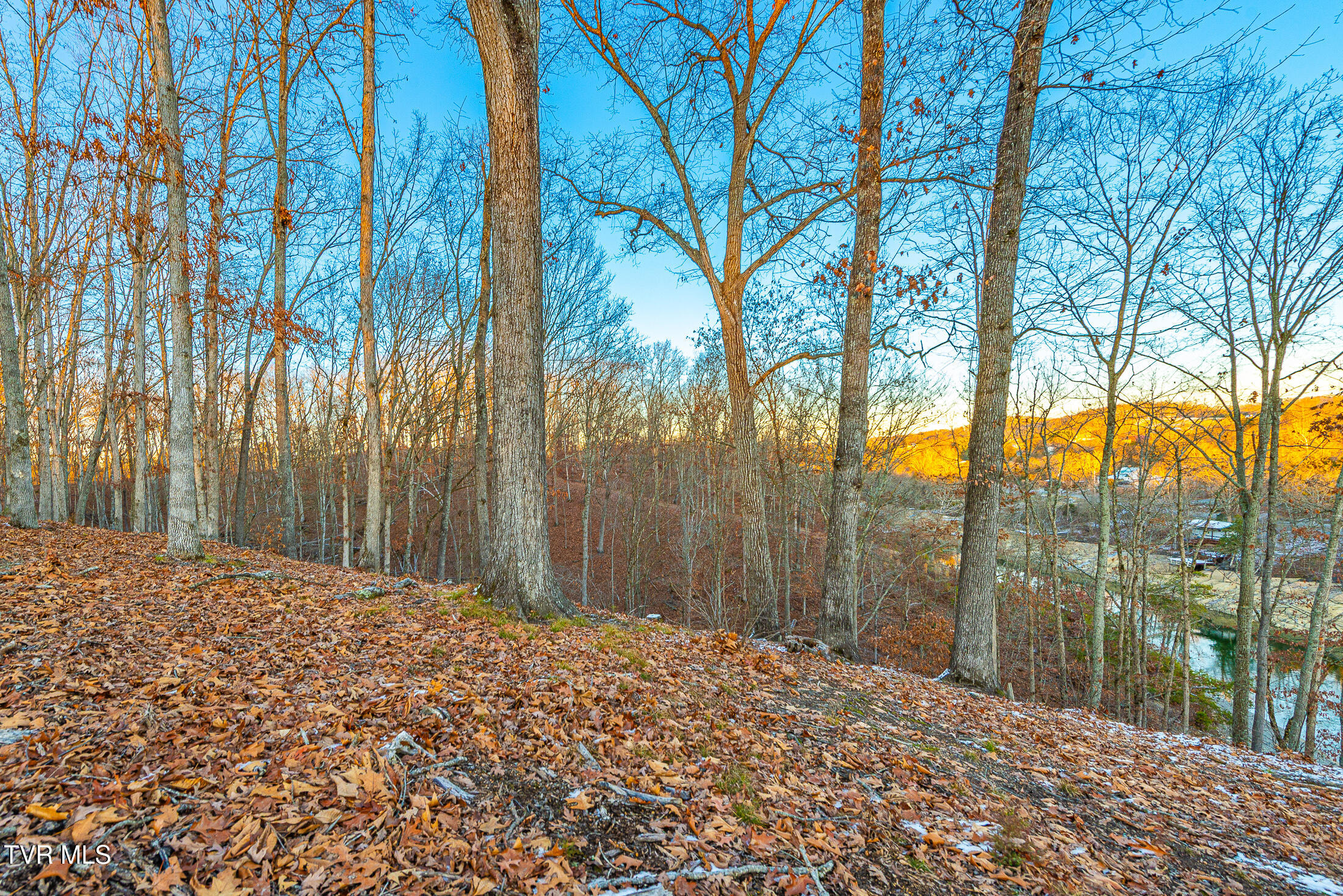 2318 Turkey Ridge Lane, Unit 13 Piney Flats, TN 37686 - Photo 8 of 15 Turkey Ridge