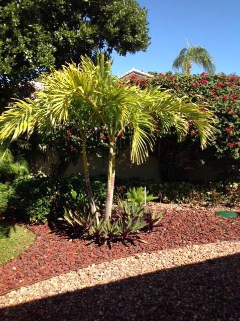 5331 Northwest 26th Circle Boca Raton, FL 33496 - Photo 11 of 11 IMG_5530