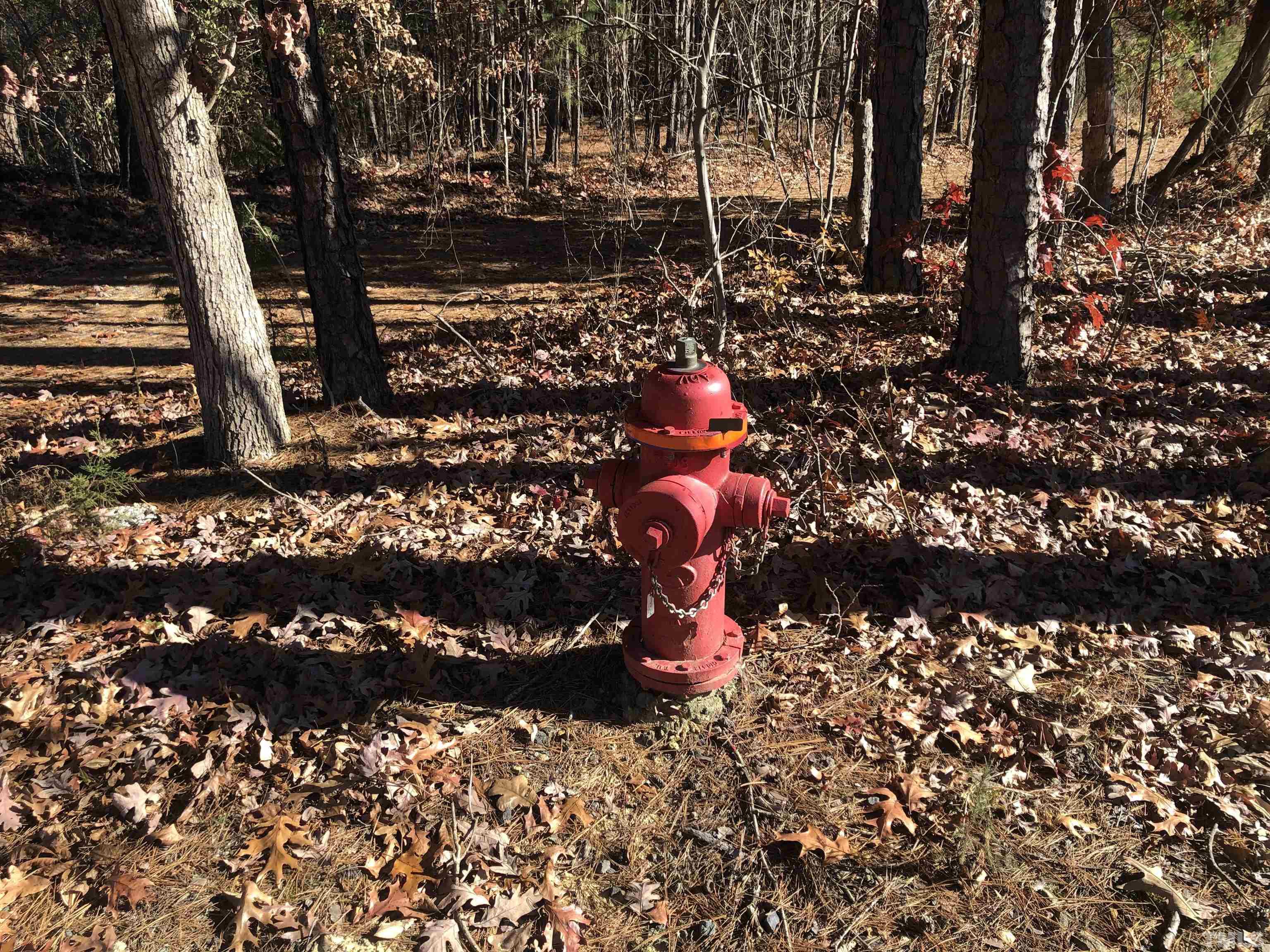 1731 East Gargus Road Moncure, NC 27559 - Photo 7 of 9 Gallery Image 7