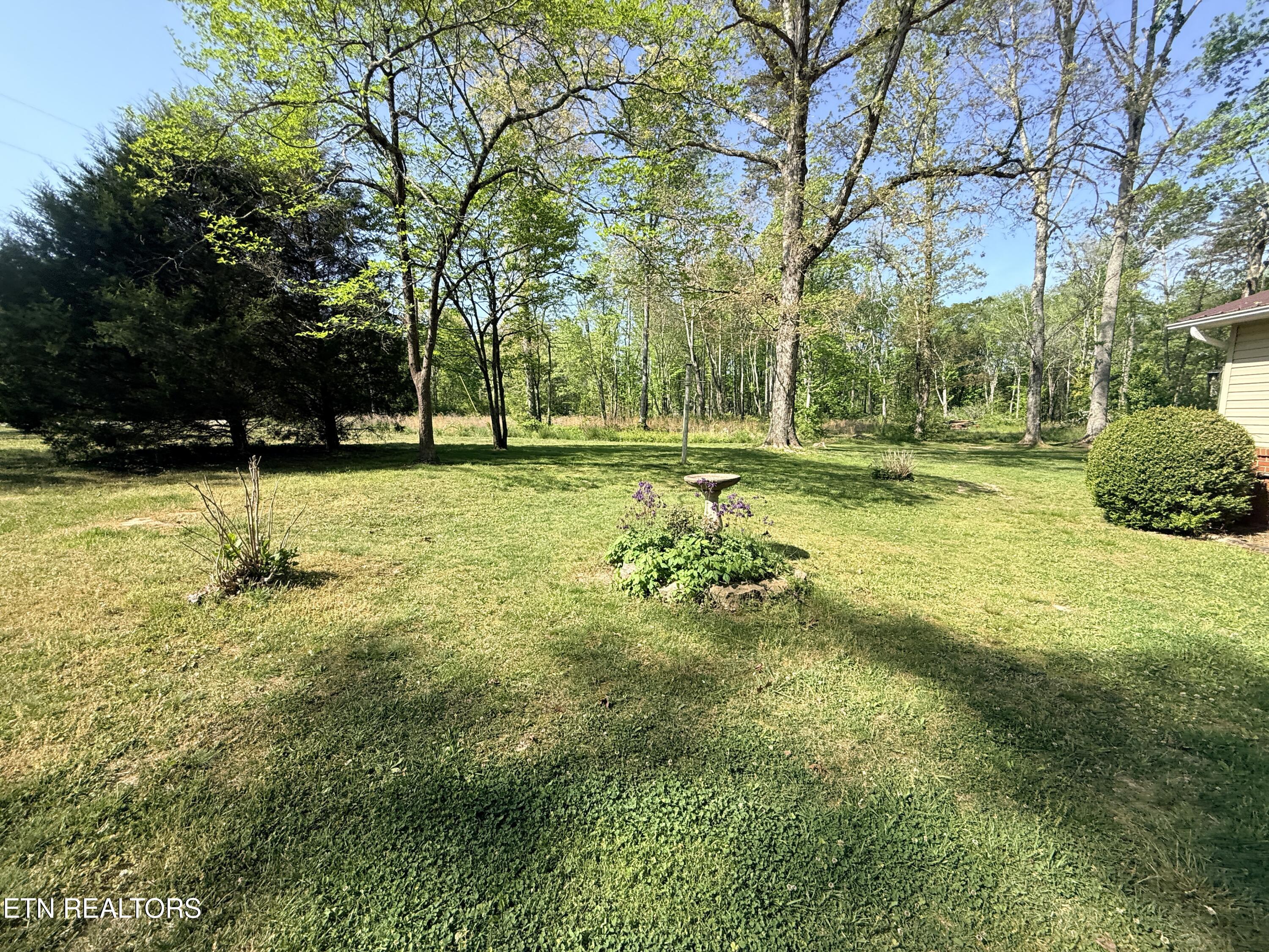 1200 Banner Springs Road Jamestown, TN 38556 - Photo 20 of 40 IMG_4047