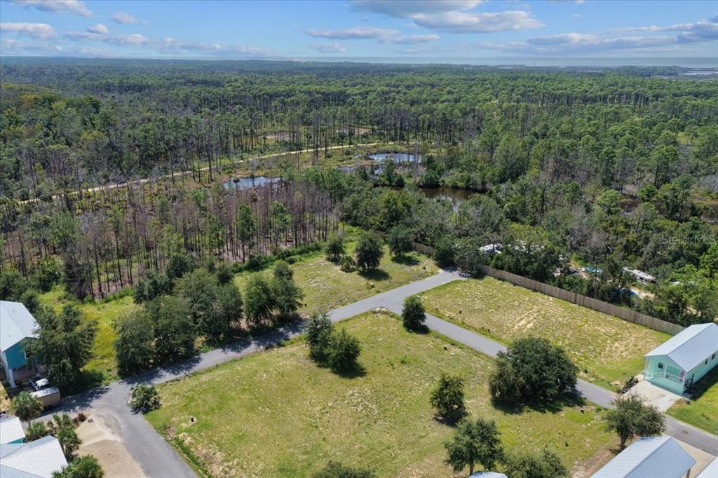 0 Southwest 869th Loop Steinhatchee, FL 32359 - Photo 13 of 14 an aerial view of residential houses with outdoor space and trees