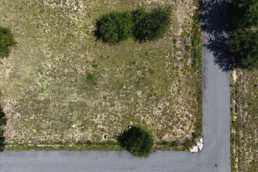 0 Southwest 869th Loop Steinhatchee, FL 32359 - Photo 2 of 14 a view of a yard with plants and brick wall