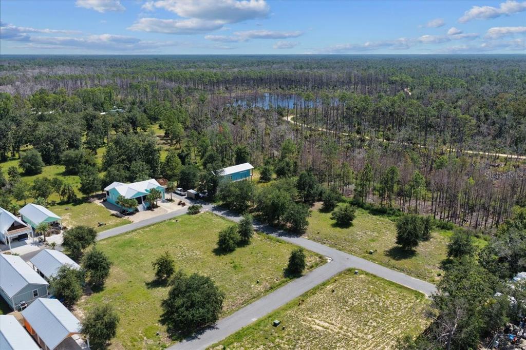 0 Southwest 869th Loop Steinhatchee, FL 32359 - Photo 10 of 14 a view of a garden with a lake