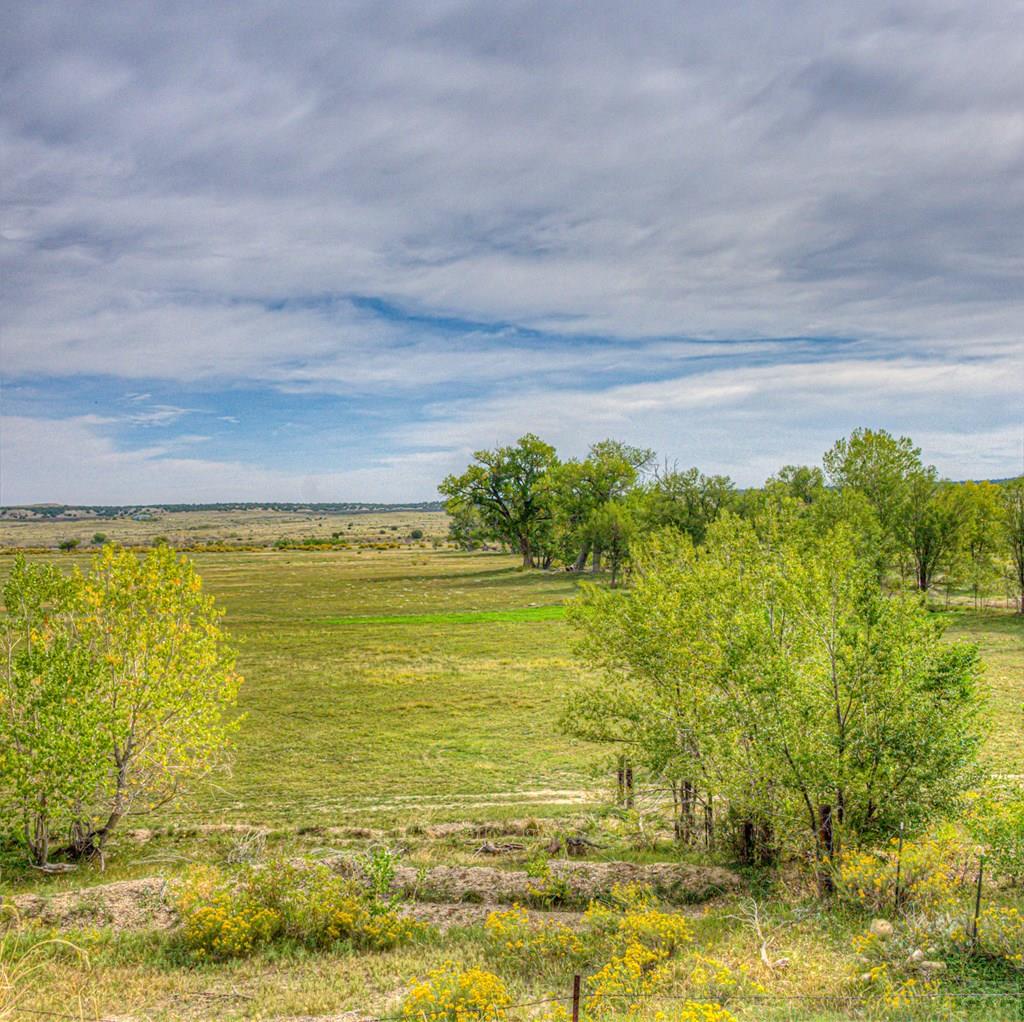 3550 Verde Road Pueblo, CO 81004 - Photo 40 of 59