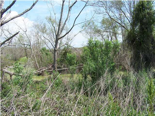 0 Longside Road New Iberia, LA 70560 - Photo 3 of 5 Additional Photo