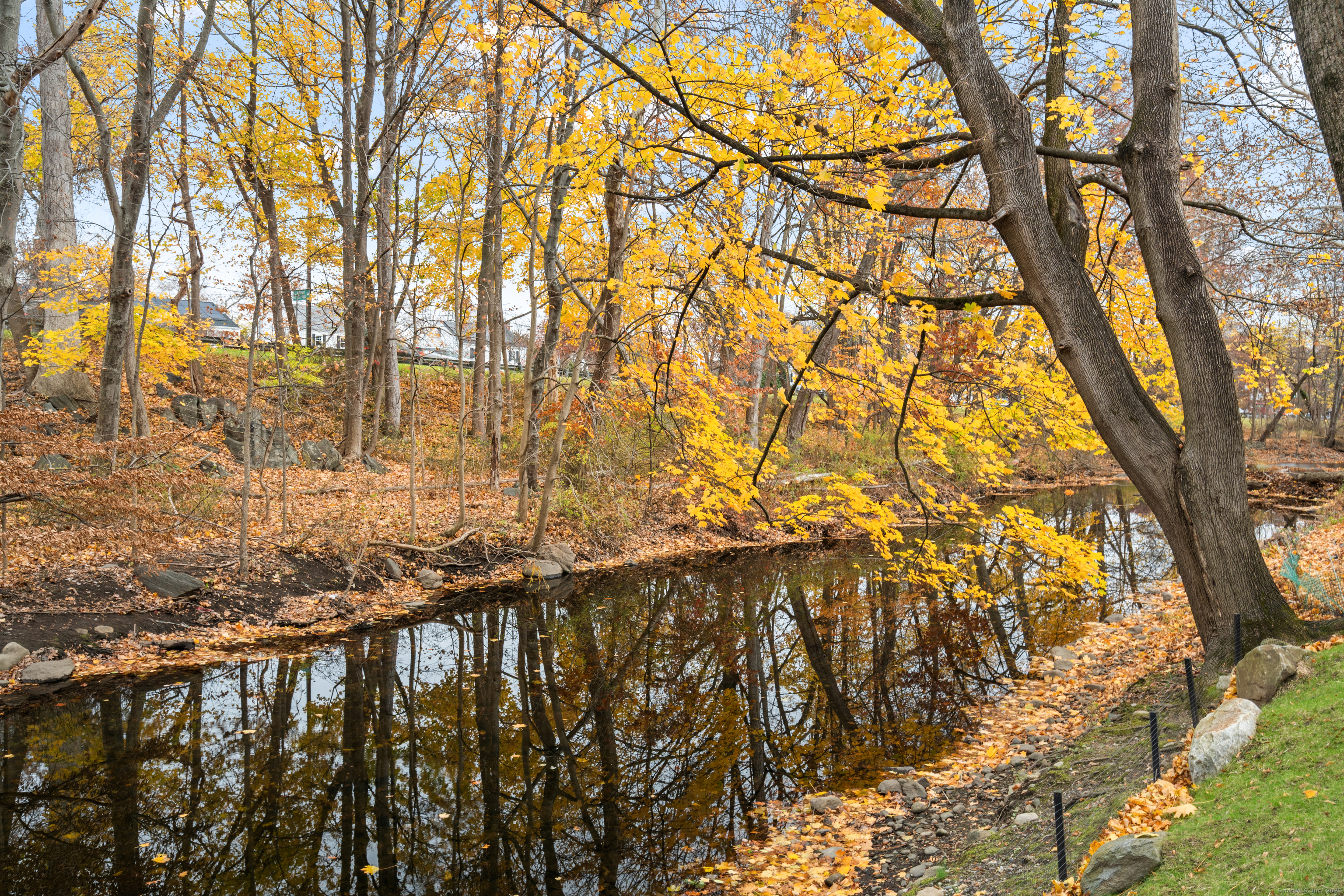 37 Riverside Avenue, Unit D Stamford, CT 06905 - Photo 4 of 29 a view of wooden fence and trees around
