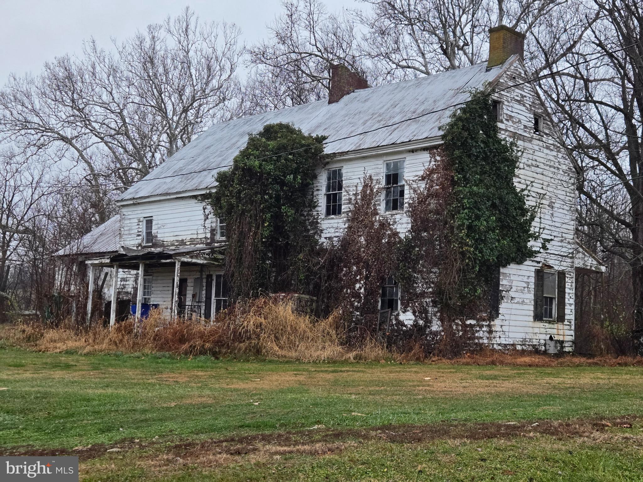 Abandoned charm cloaked in nature's embrace.