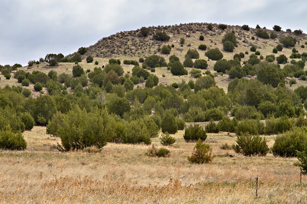 Tbd Garrett Road Beulah, CO 81023 - Photo 2 of 42 Gallery Image 2