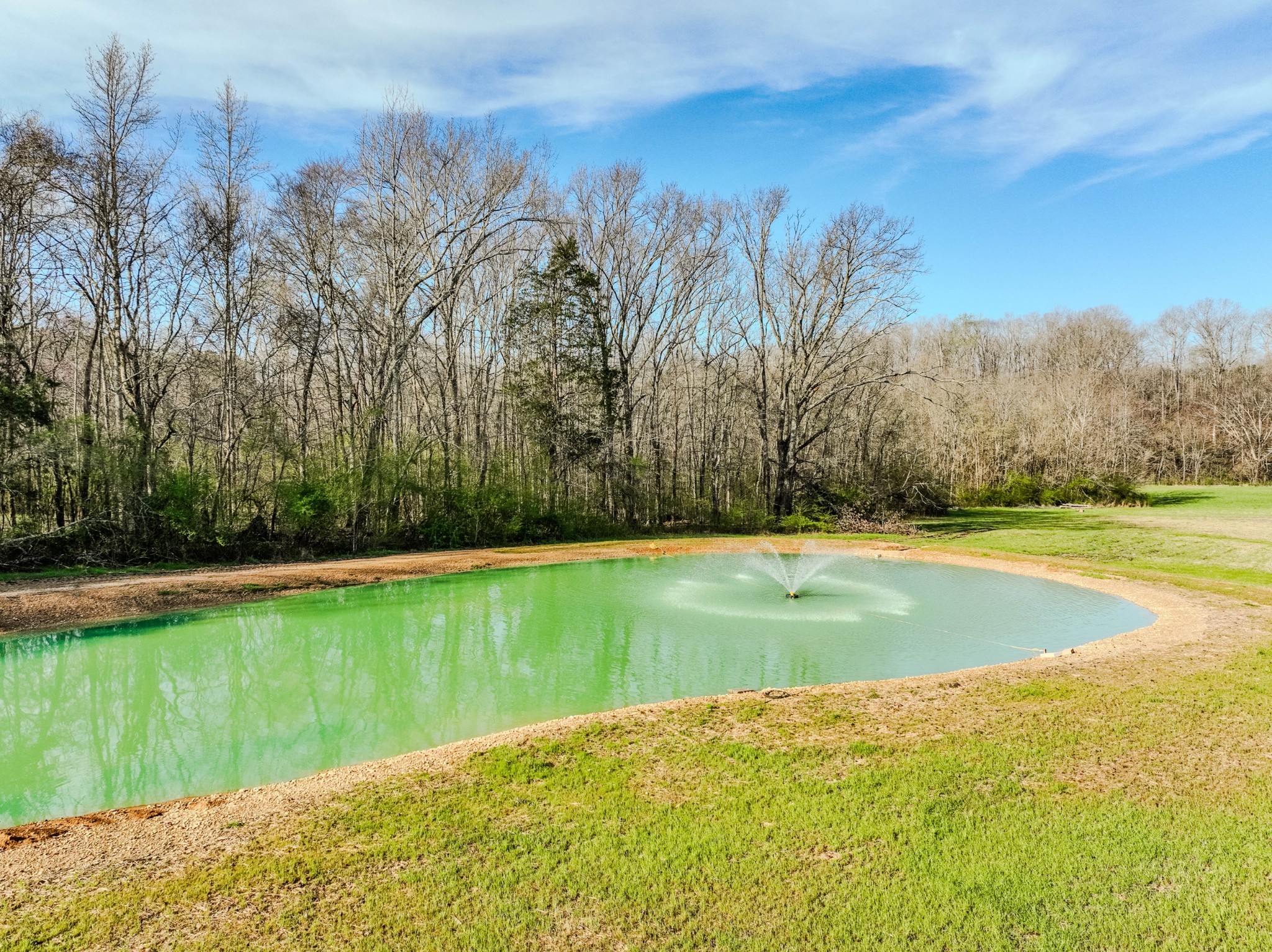 109 Rascal Town Road Loretto, TN 38469 - Photo 13 of 43 a view of swimming pool with an outdoor space and seating area