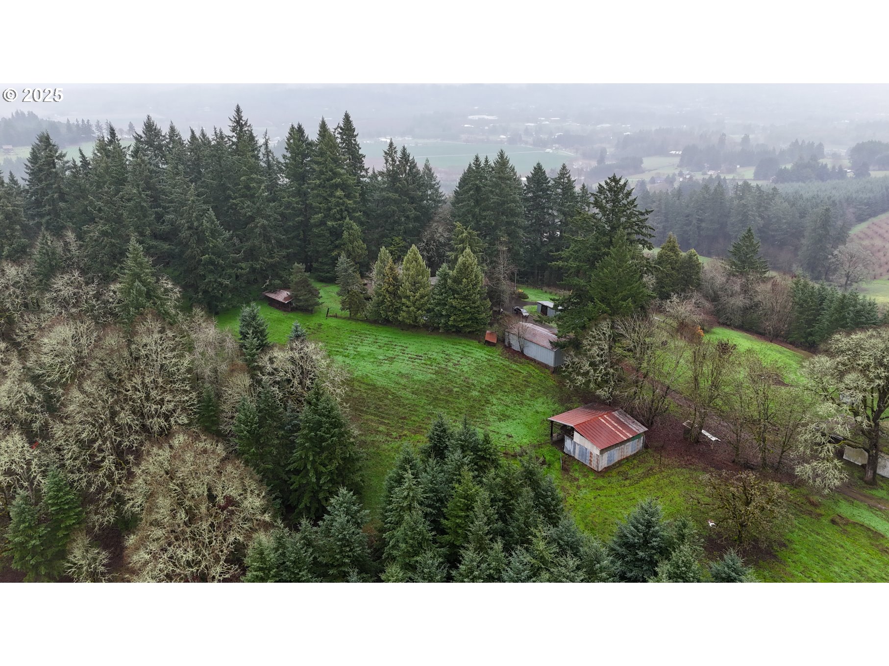20180 Northeast Sunnycrest Road Newberg, OR 97132 - Photo 3 of 46 Pasture