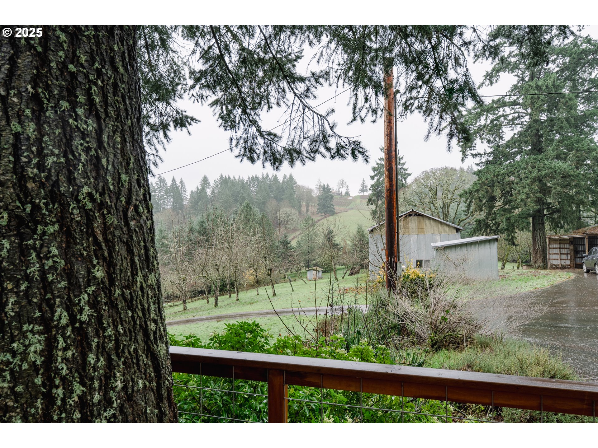 20180 Northeast Sunnycrest Road Newberg, OR 97132 - Photo 36 of 46 Storage