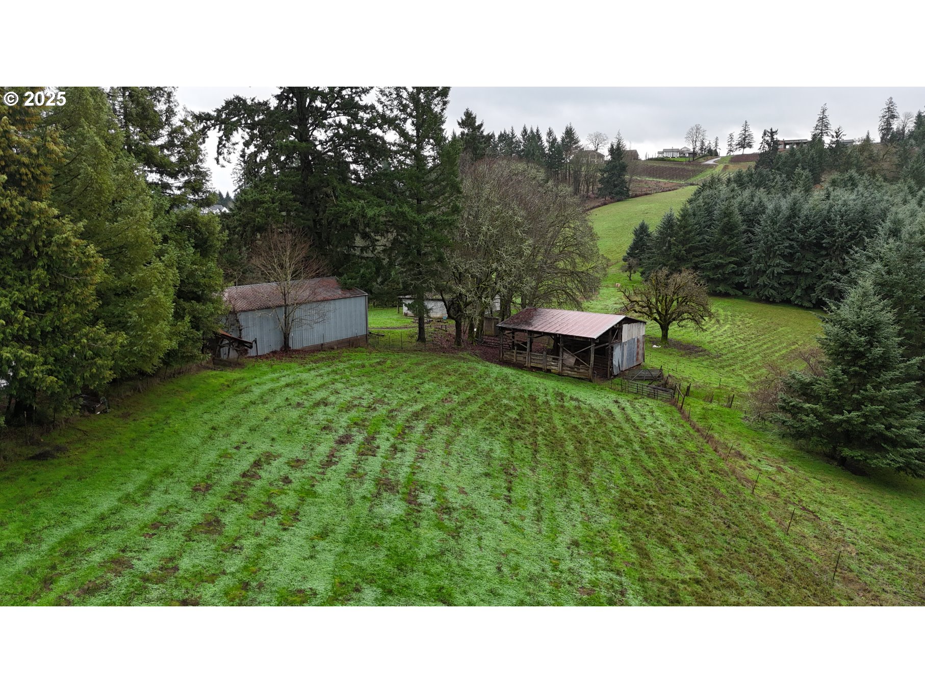 20180 Northeast Sunnycrest Road Newberg, OR 97132 - Photo 45 of 46 Storage