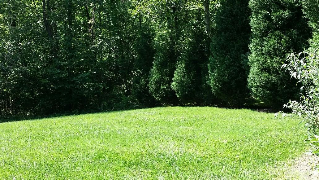 43 Willow Circle Blue Ridge, VA 24064 - Photo 34 of 43 a view of an outdoor space and a yard