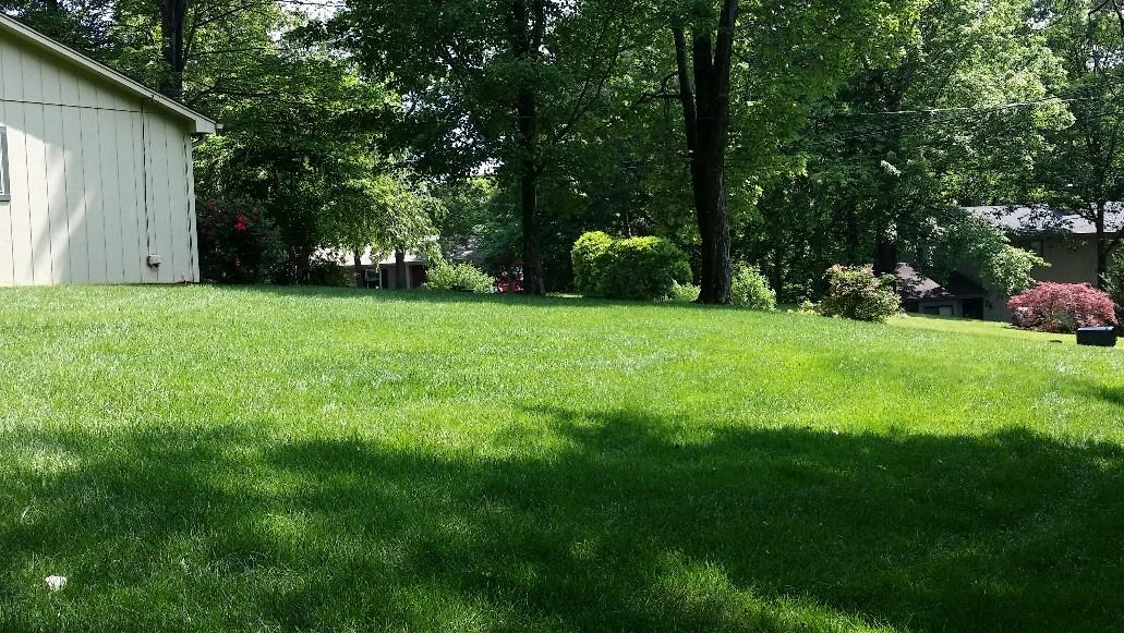 43 Willow Circle Blue Ridge, VA 24064 - Photo 36 of 43 a view of a backyard with large trees
