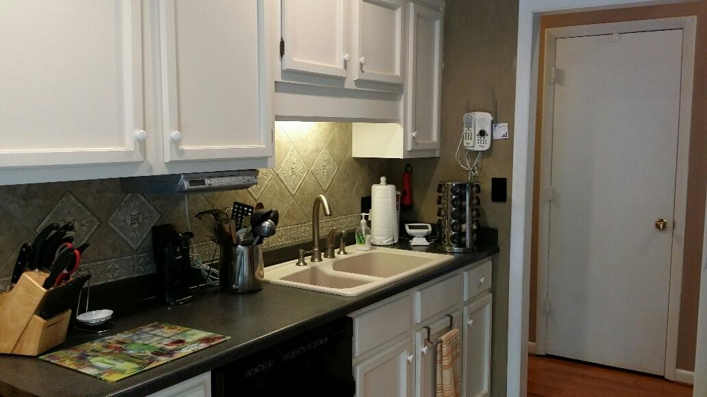 43 Willow Circle Blue Ridge, VA 24064 - Photo 7 of 43 a kitchen with sink and cabinets