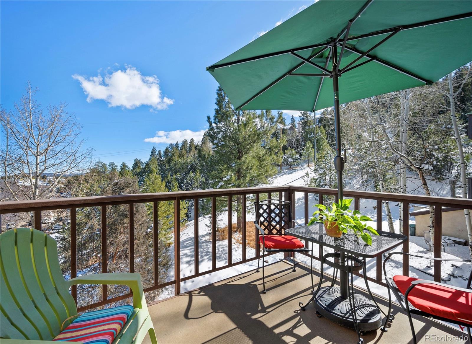 31270 John Wallace Road, Unit 304 Evergreen, CO 80439 - Photo 5 of 17