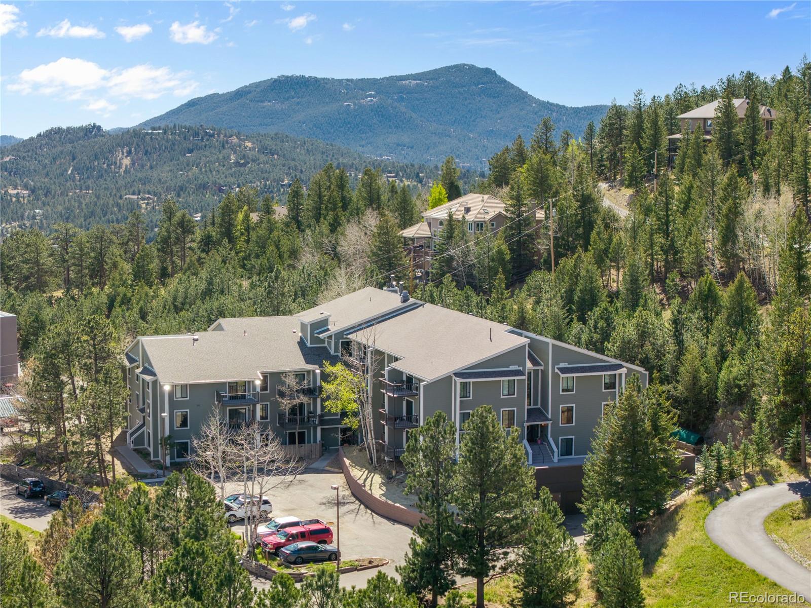 31270 John Wallace Road, Unit 304 Evergreen, CO 80439 - Photo 6 of 17
