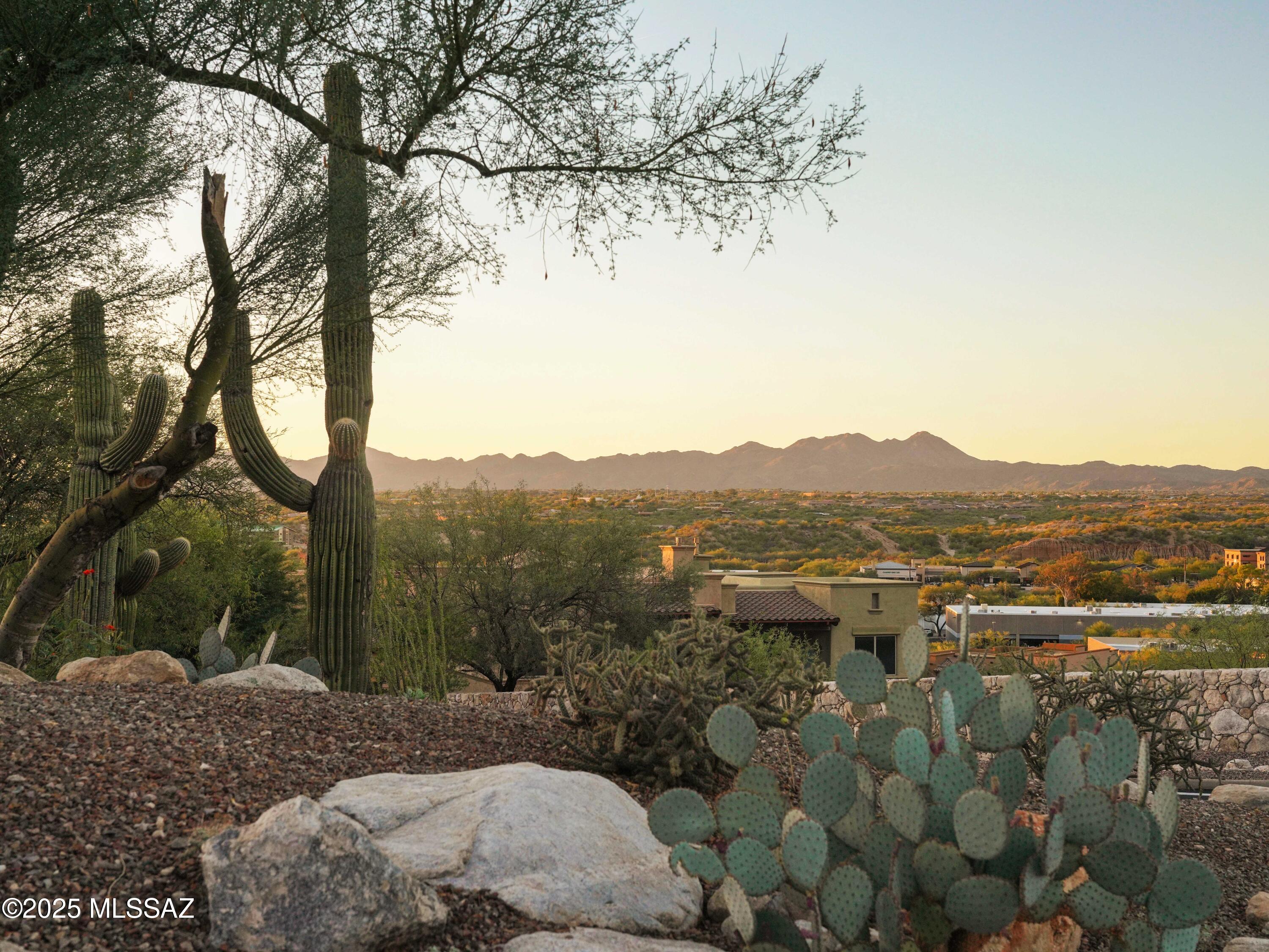 10576 Buck Ridge Drive, Unit 51 Tucson, AZ 85737 - Photo 10 of 20