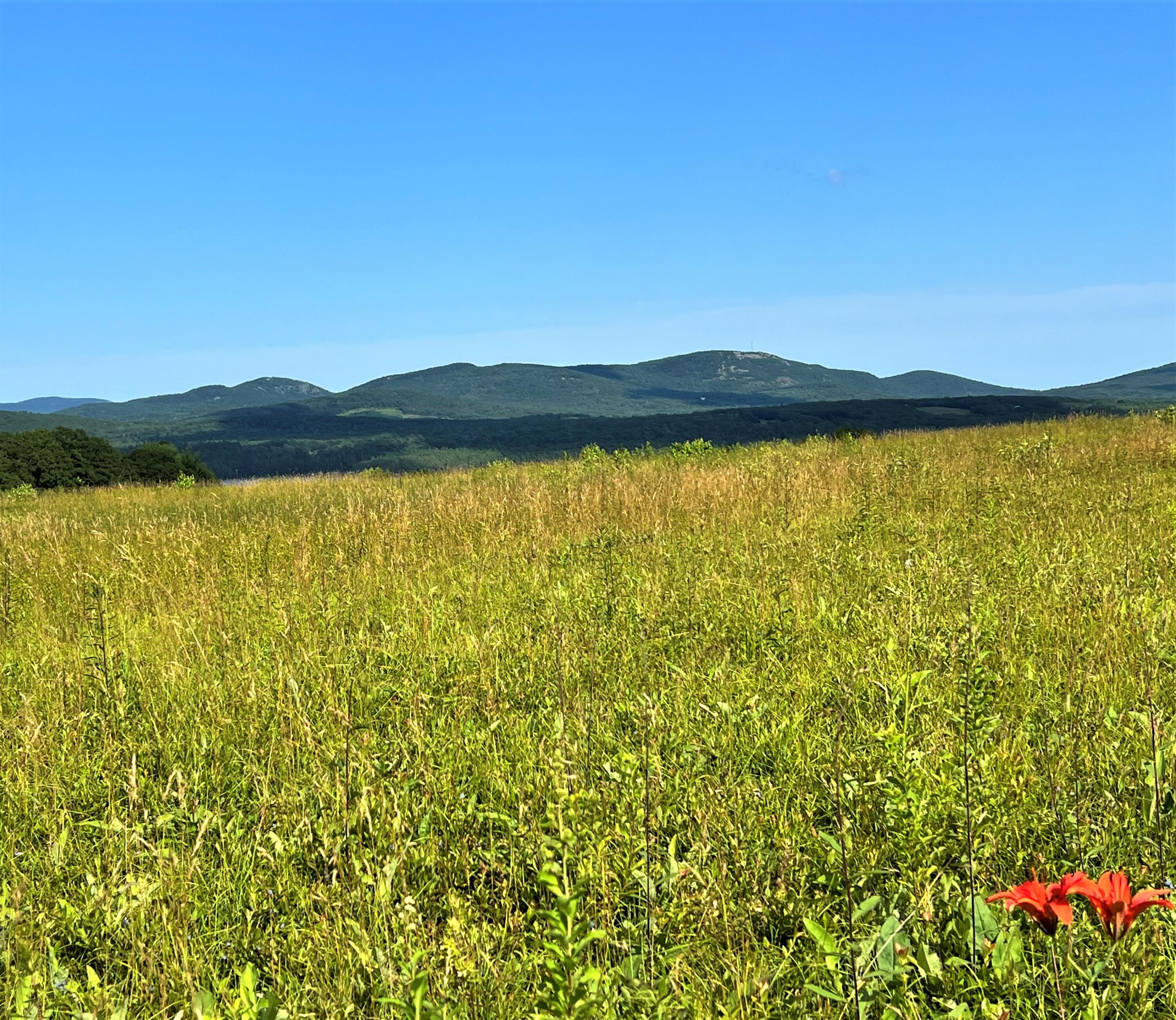 0 Barrett Hill Road Hope, ME 04847 - Photo 15 of 27 IMG_3738 (2)