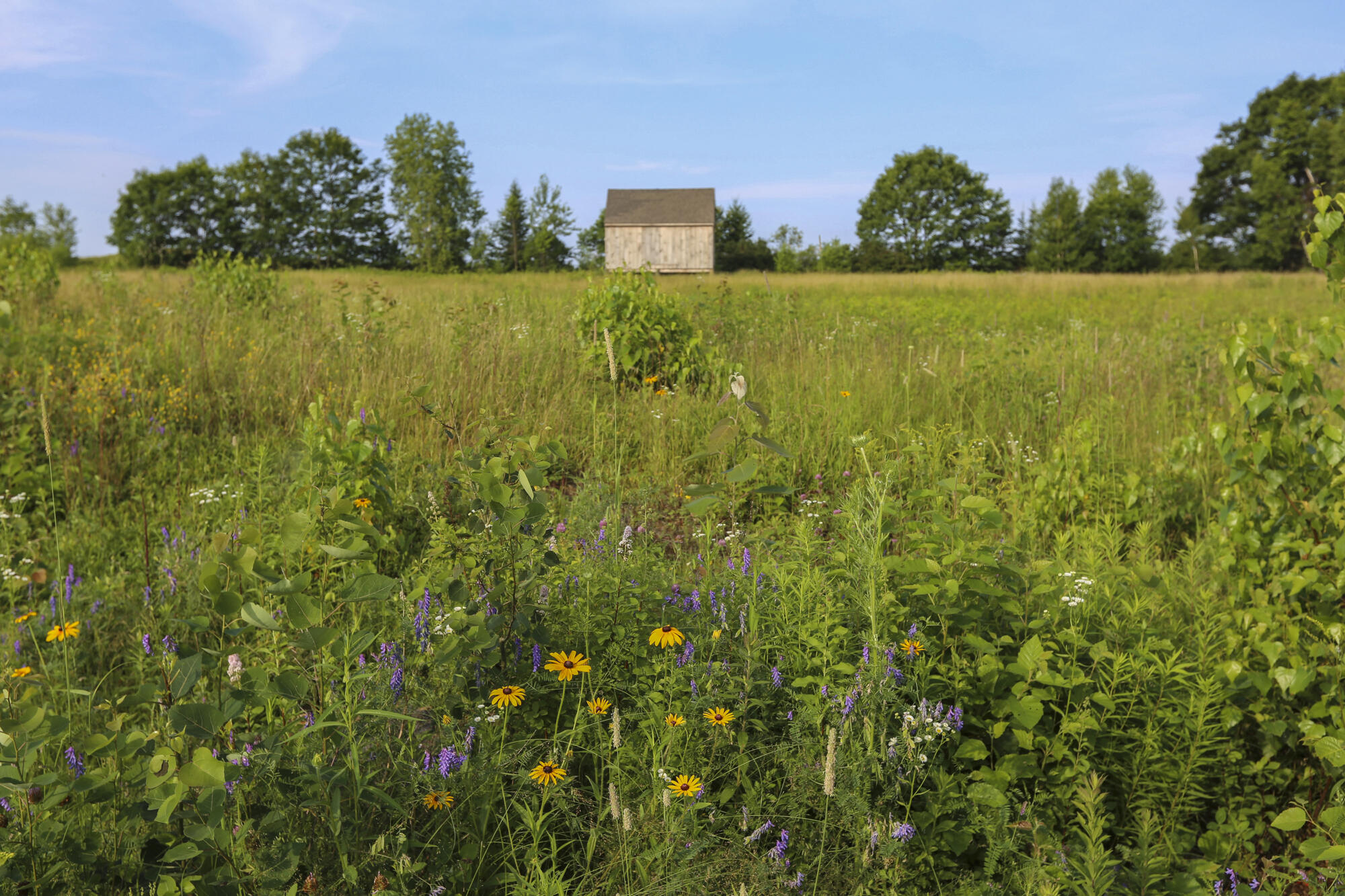 0 Barrett Hill Road Hope, ME 04847 - Photo 2 of 27 BarrettHillRdHopeME