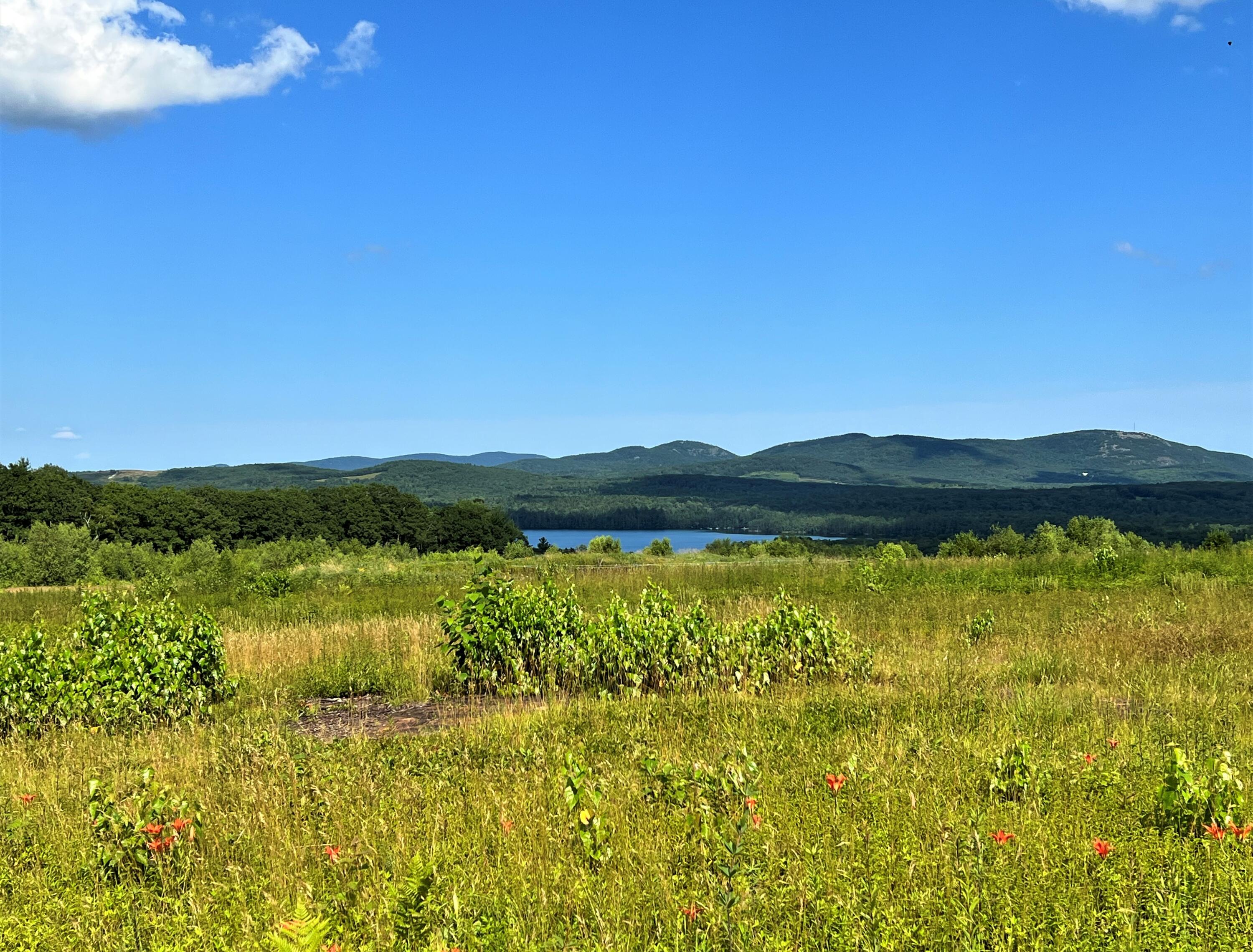 0 Barrett Hill Road Hope, ME 04847 - Photo 5 of 27 IMG_3735 (2)