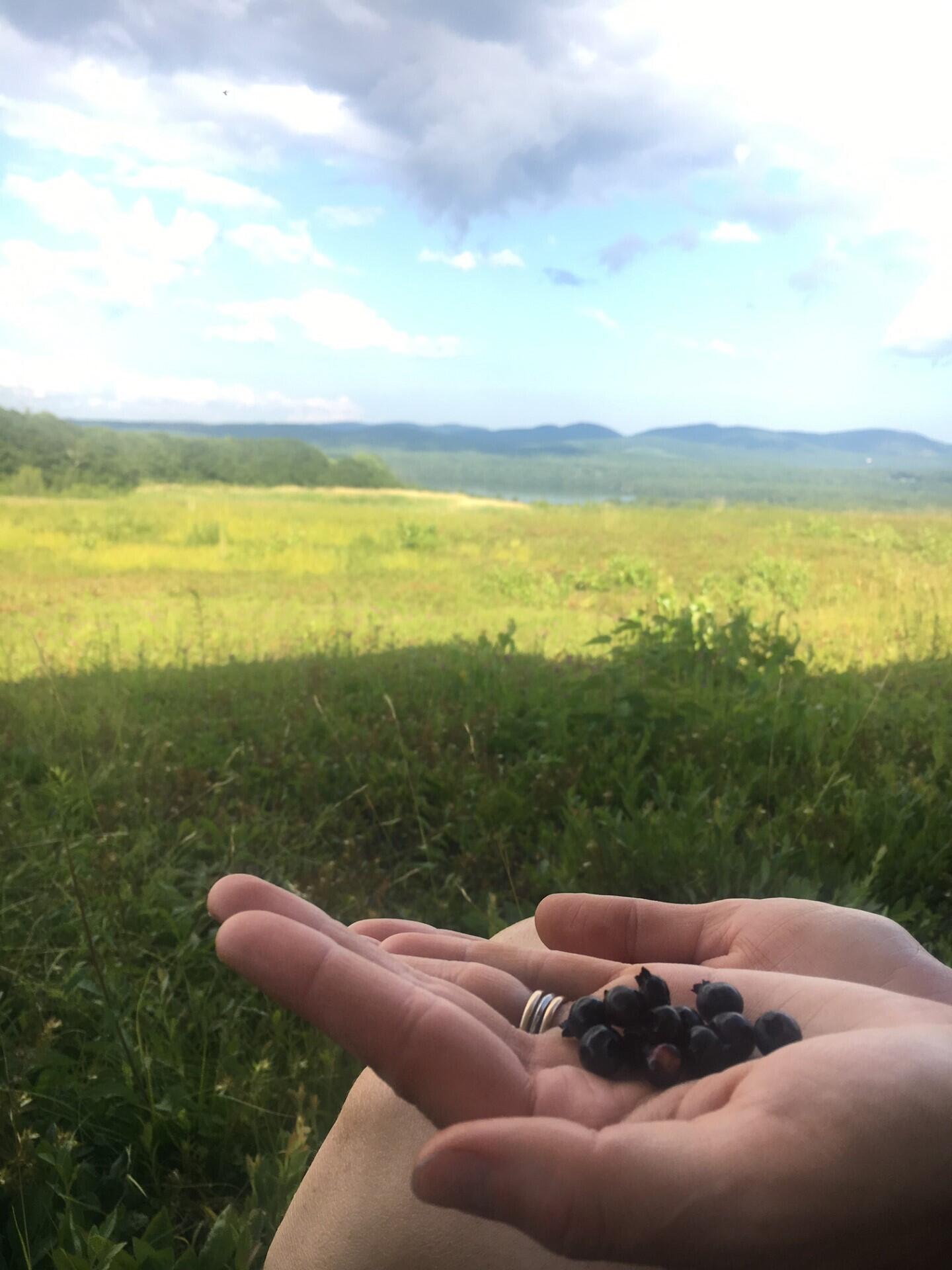 0 Barrett Hill Road Hope, ME 04847 - Photo 6 of 27 thumbnail_image2 (1) 3