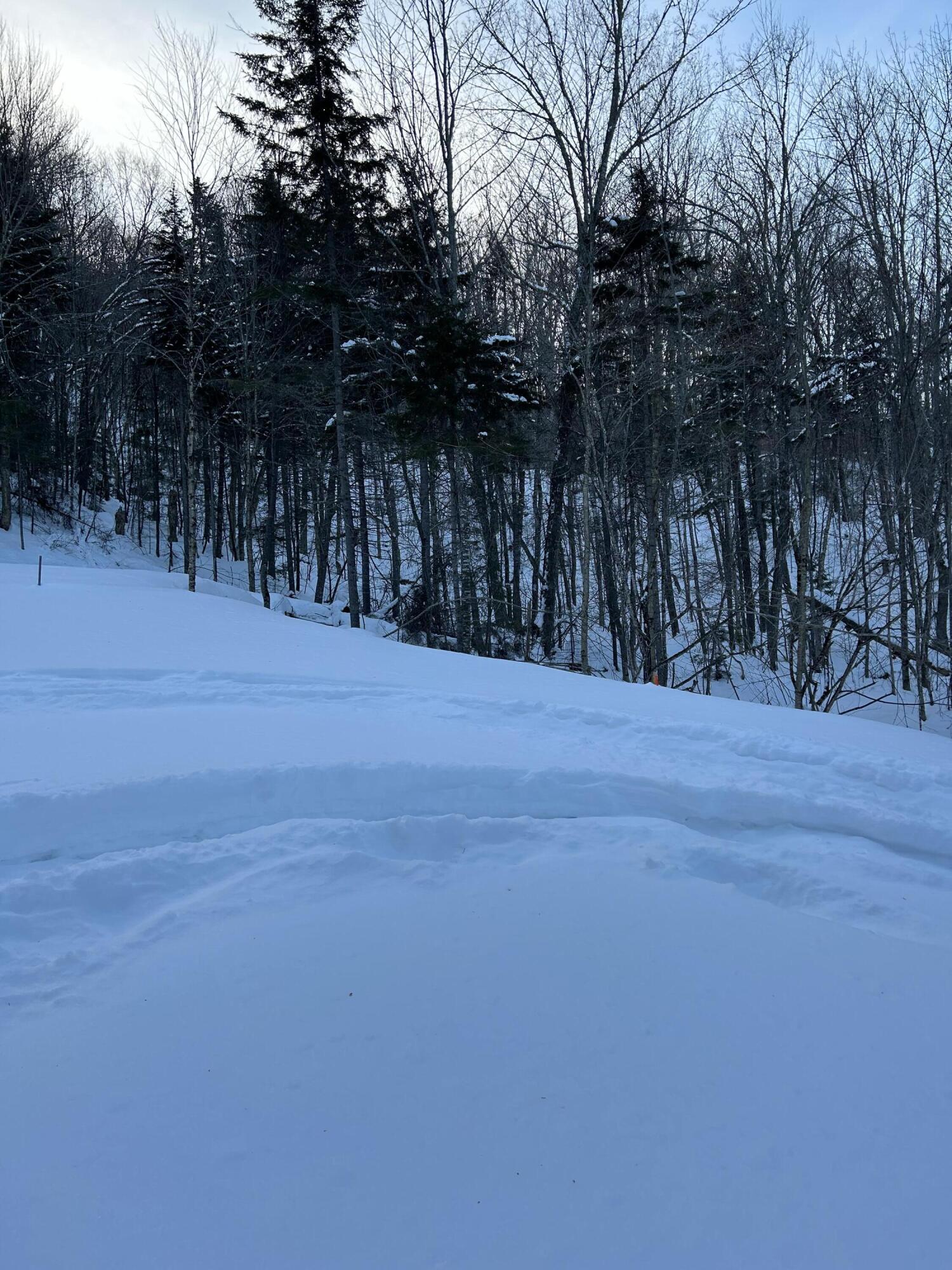 Lot #b-2 Mountain Road Stratton, ME 04982 - Photo 8 of 9 IMG_4162
