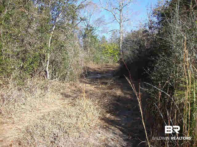 0 Fox Branch Road Loxley, AL 36551 - Photo 5 of 14