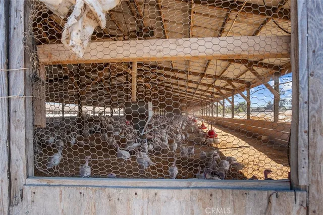 a view of a house with a slide