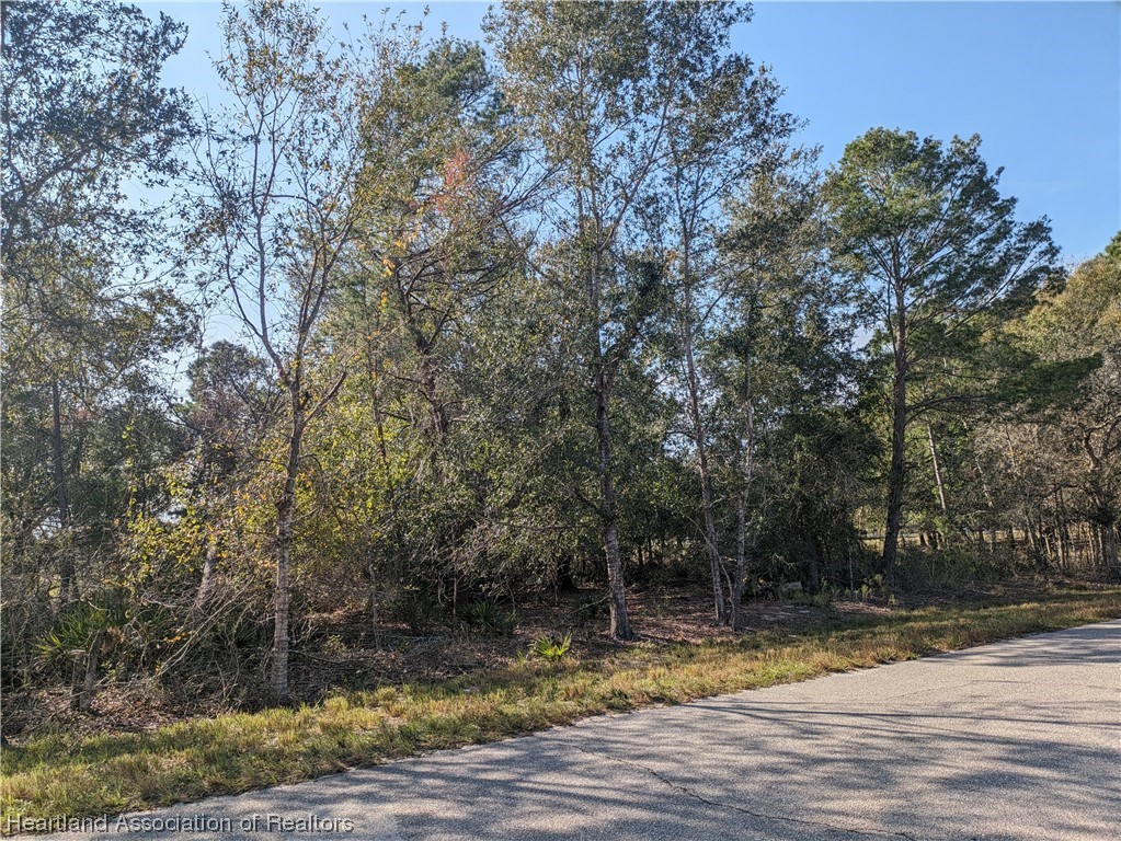 2211 Hartman Road Avon Park, FL 33825 - Photo 2 of 5 Gallery Image 2