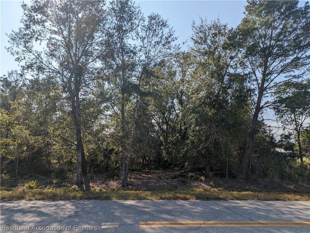 2211 Hartman Road Avon Park, FL 33825 - Photo 3 of 5 Gallery Image 3