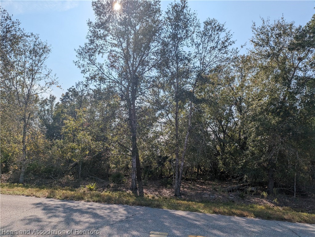 2211 Hartman Road Avon Park, FL 33825 - Photo 4 of 5 Gallery Image 4