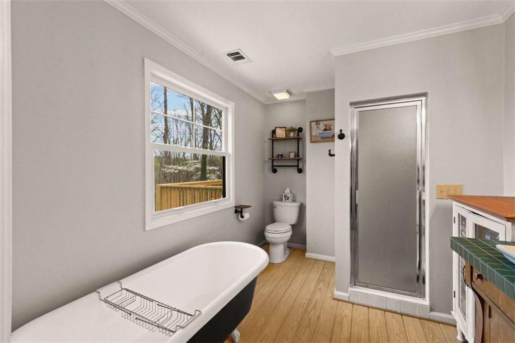 245 Spring Ridge Court Dawsonville, GA 30534 - Photo 26 of 69